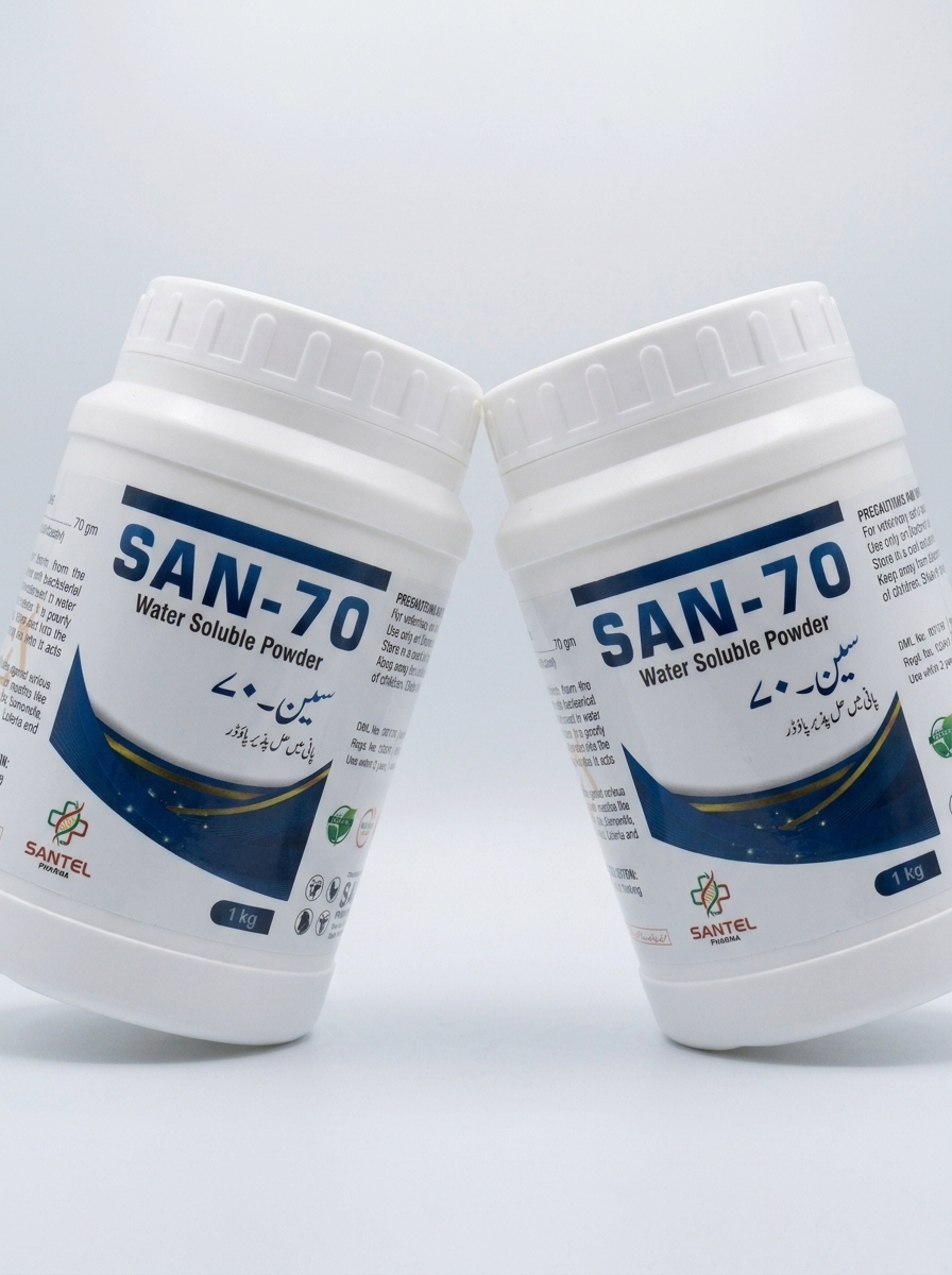 SAN-70 view 3