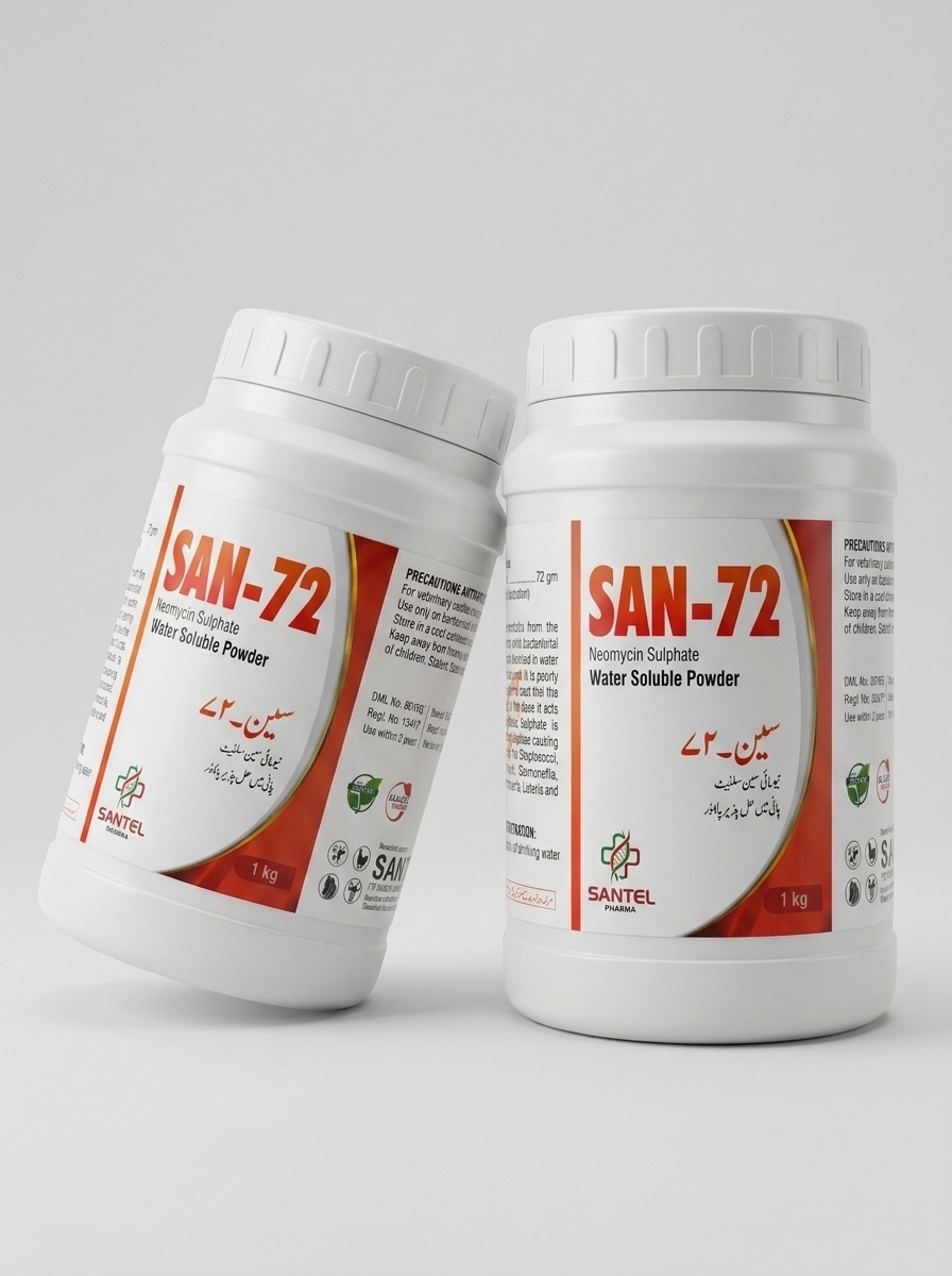 SAN-72 view 3