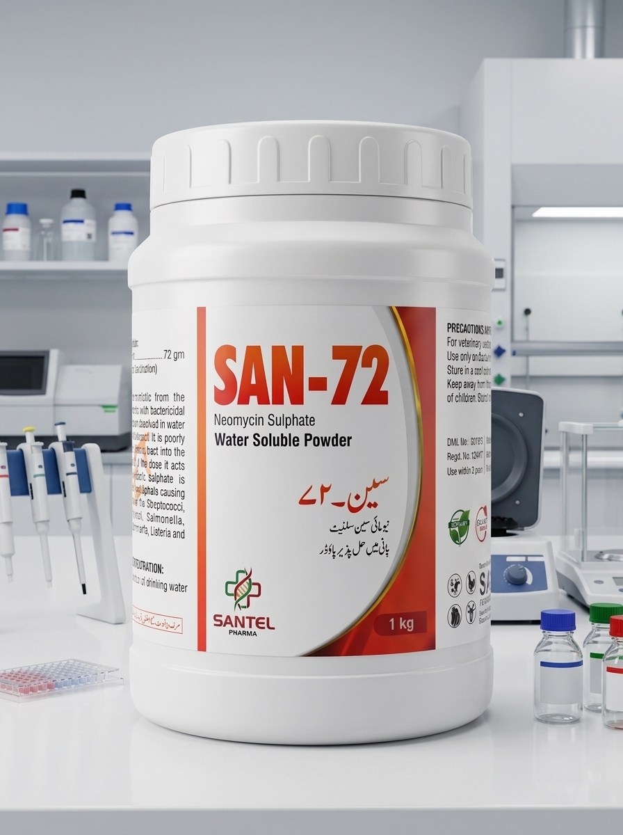 SAN-72 view 4