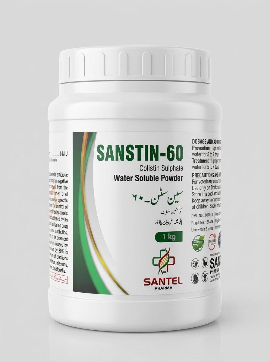 Santin-60