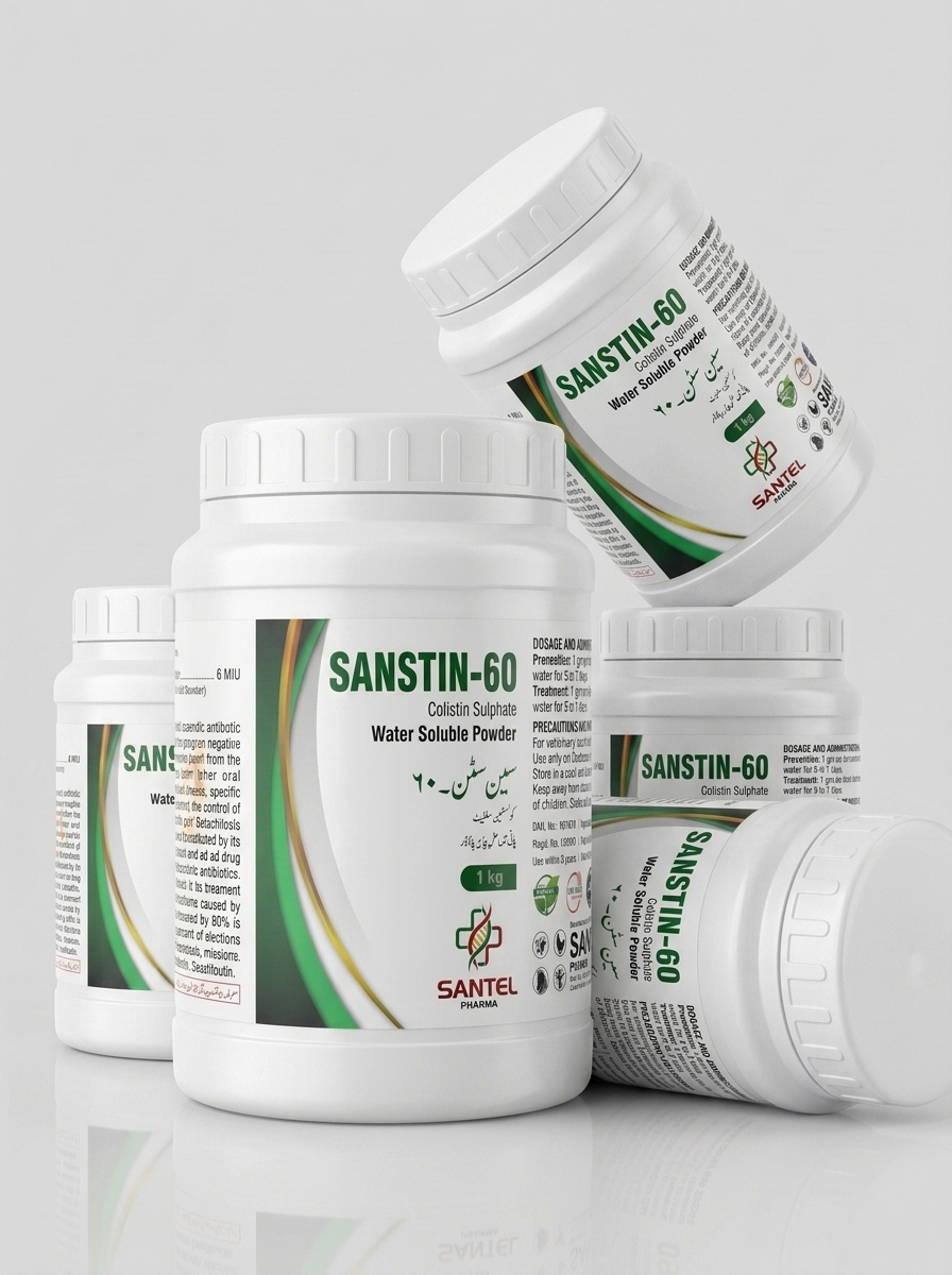 SANTIN-60 view 4