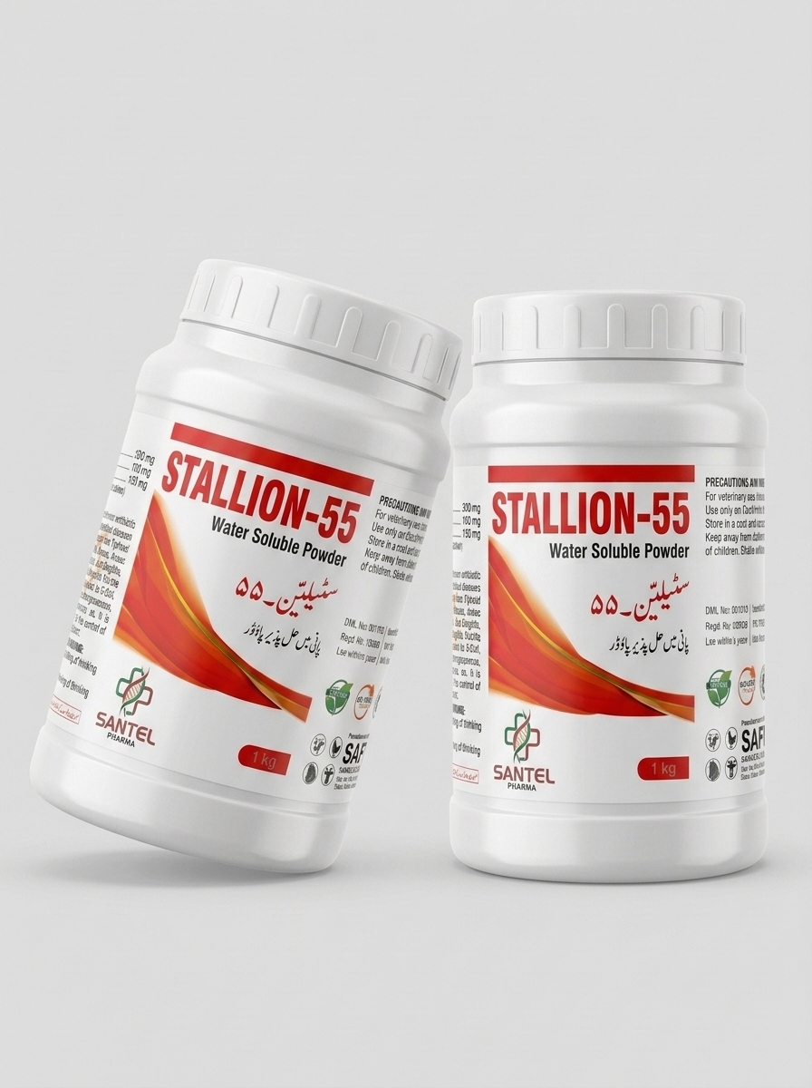 STALLION-55 view 3